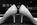 wedding ring and glass slippers 